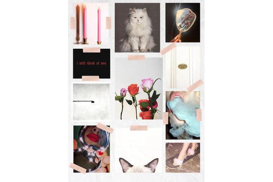 A ROSE BY ANY OTHER NAME? WE CALL HER KITTY