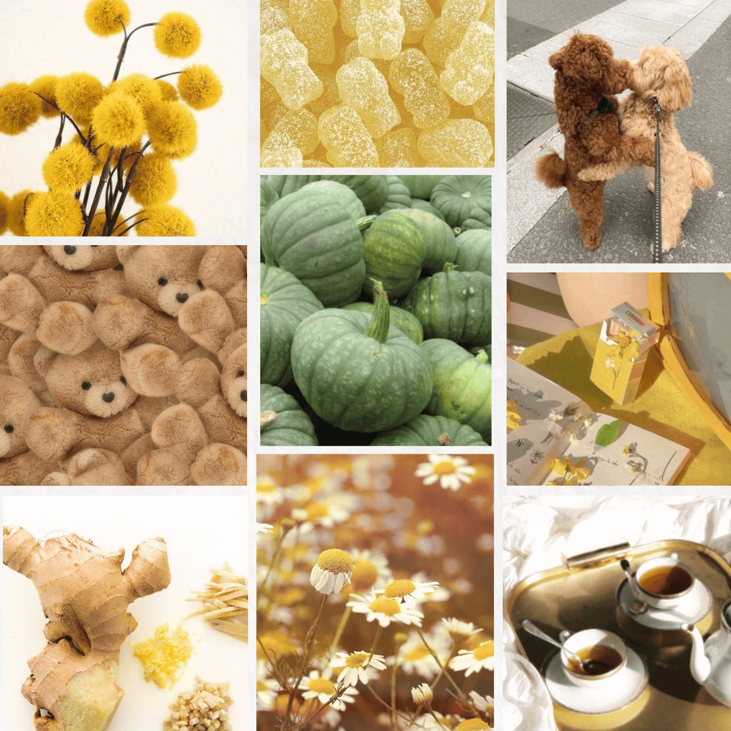 NEW! Limited Edition Goldie Luxury Candle with Ginger and Chamomile - Candles-Sunday Forever