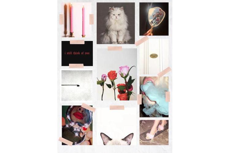 A ROSE BY ANY OTHER NAME? WE CALL HER KITTY